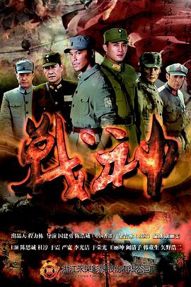 点评视频海报剧照