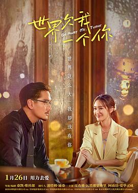 丝袜魅足海报剧照